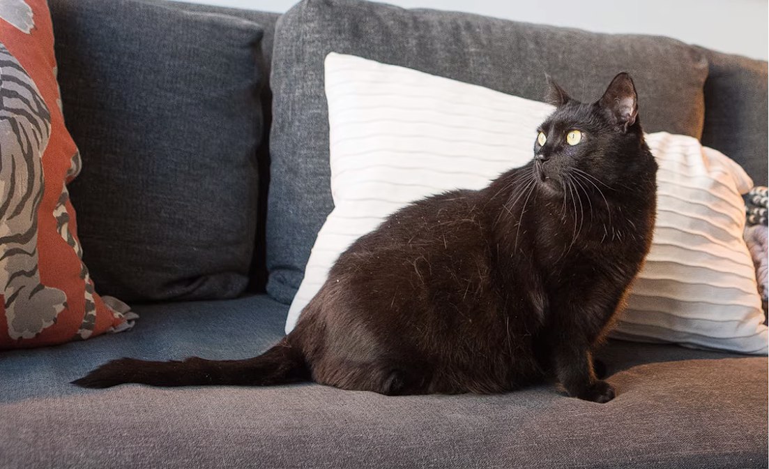  �������� ������� ��� ������� ������� ����� ��������� ��������� 