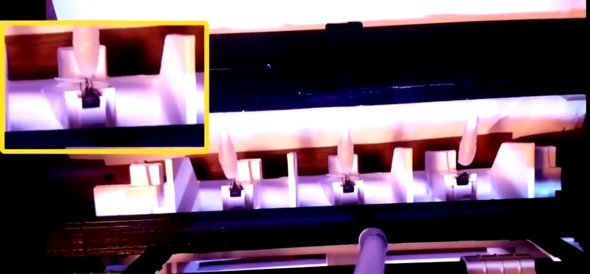 ����: focus.ua