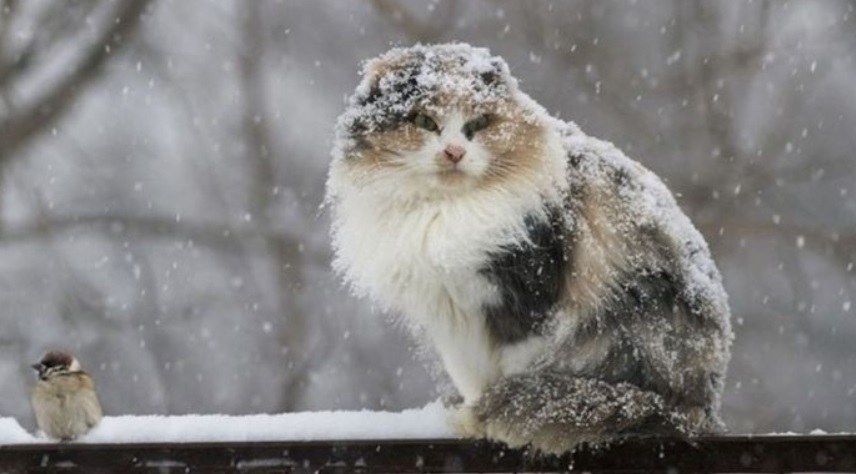  ���� ���������� �������� ��������� ����������� ������ ������� 