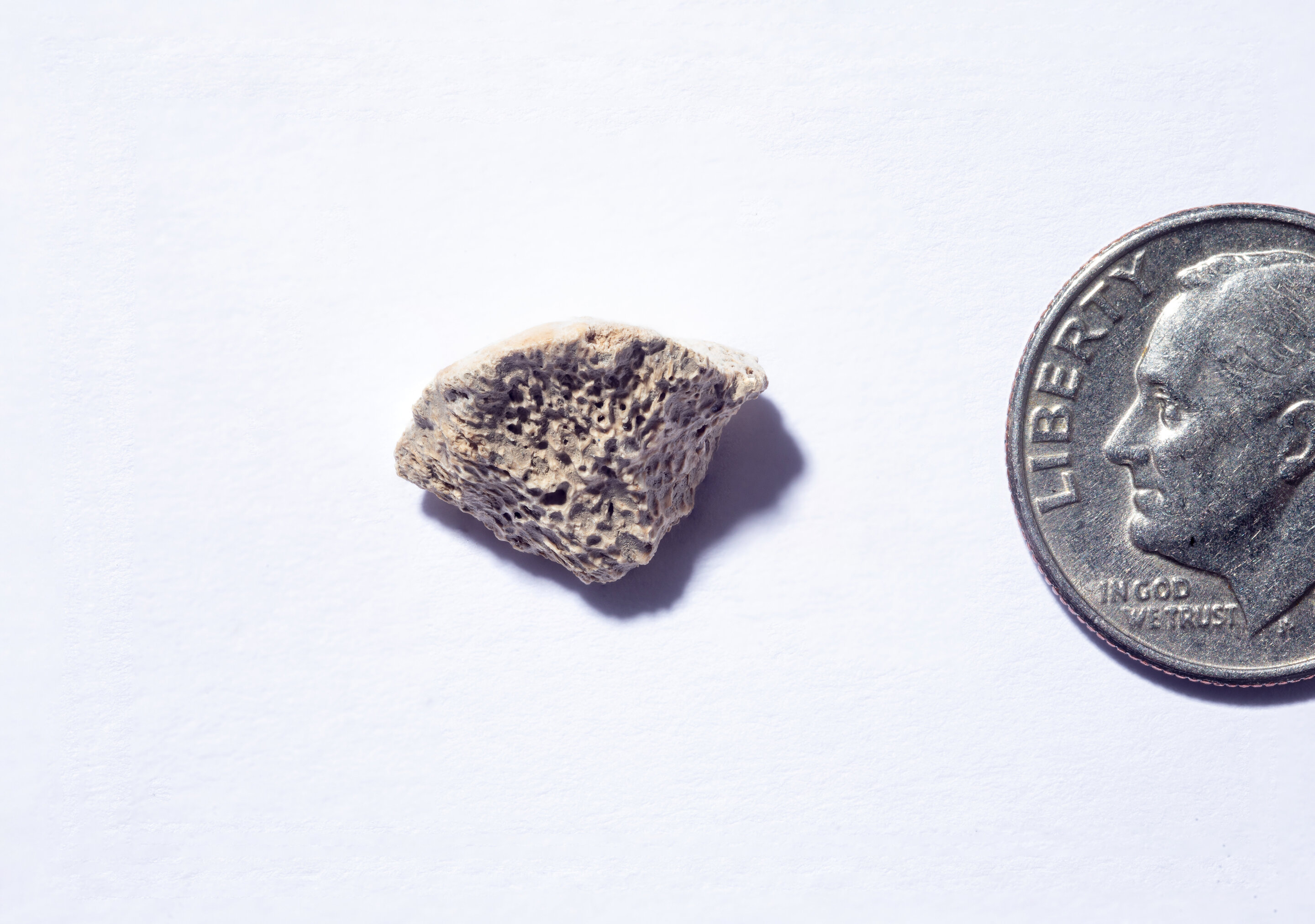  ������� ����� ������� ������ ������ �������� ���� ������ 