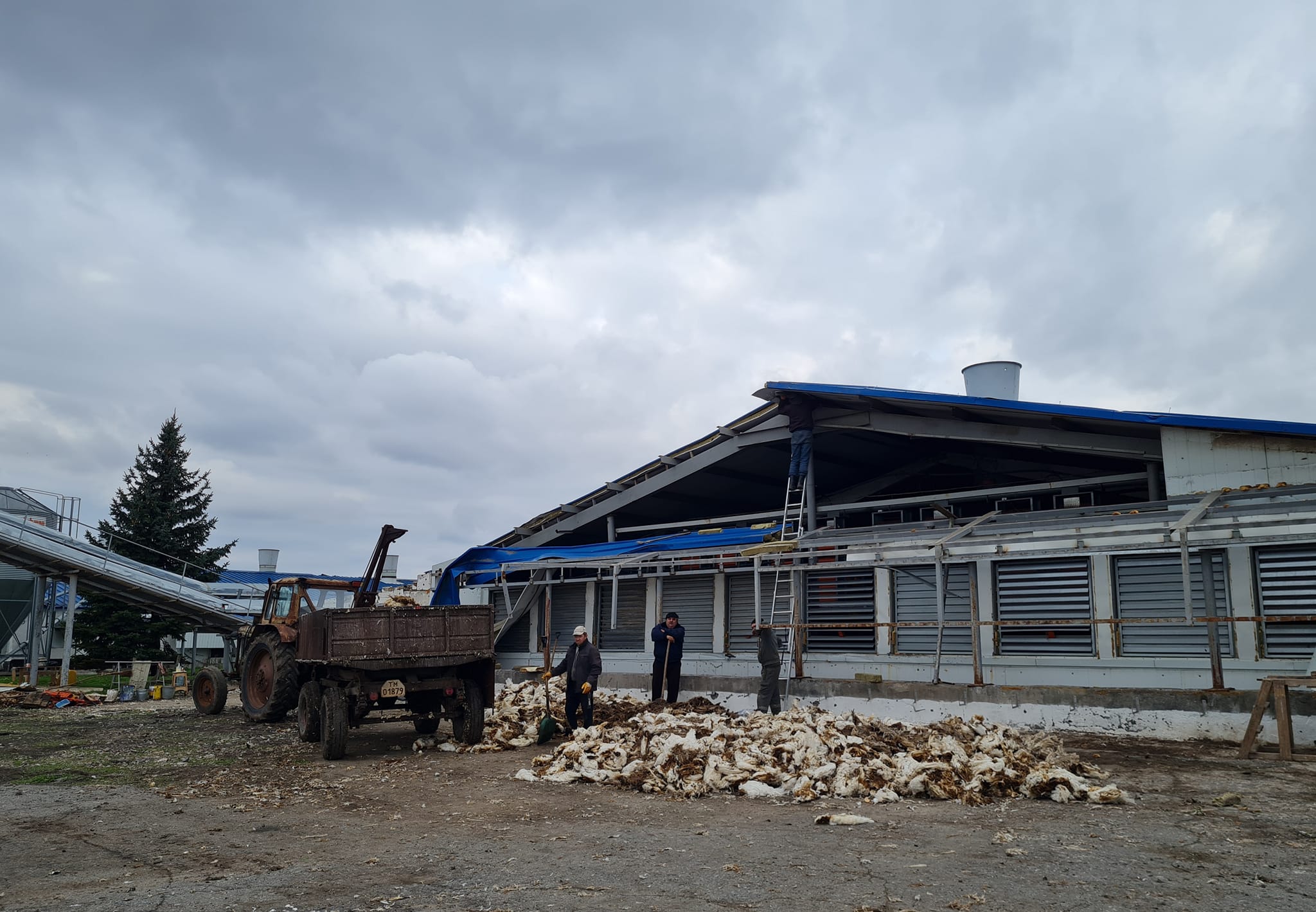  �������� ������� ���������� ���������� ����������� ������������ ��� 