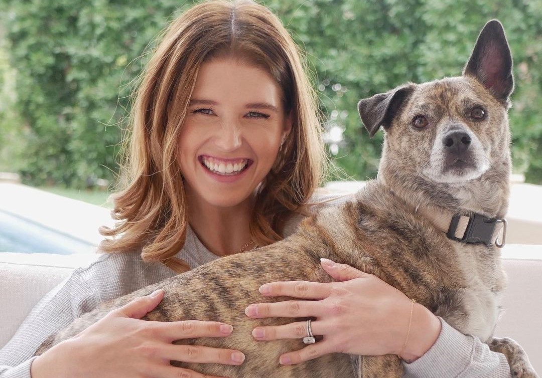  ������� ������������ ������� �������� ���� ������� ������ 