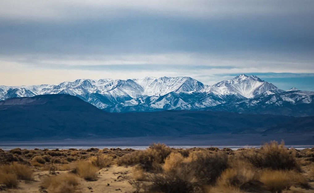  ���������� ����������� ������������� ����� ����� ������ ��������� �������� 