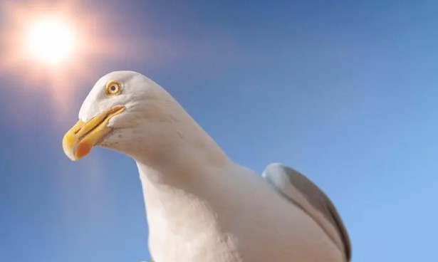  ��������� ����� ������������� �������� ����� �������� 