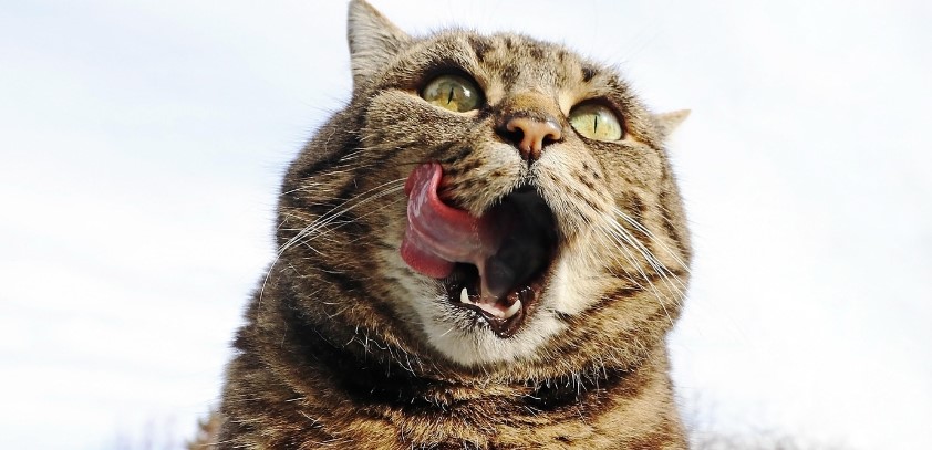  �������� ��������� ������� ����������� ������ �������������� ����� 