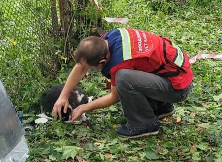 ����: focus.ua