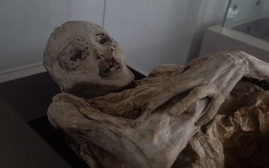 ����: focus.ua