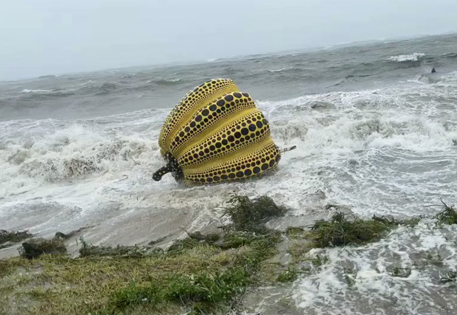  ������ ������ ���� ���� ���������� �������� �������� ����� 