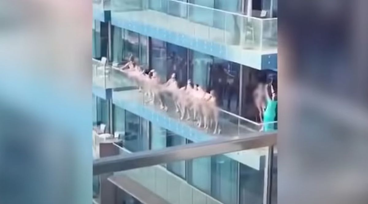  ������������ ����� ������� ��������� ����������� 