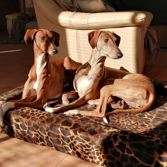  ��������� ��������� ����� ������ ����� ����� ���� 