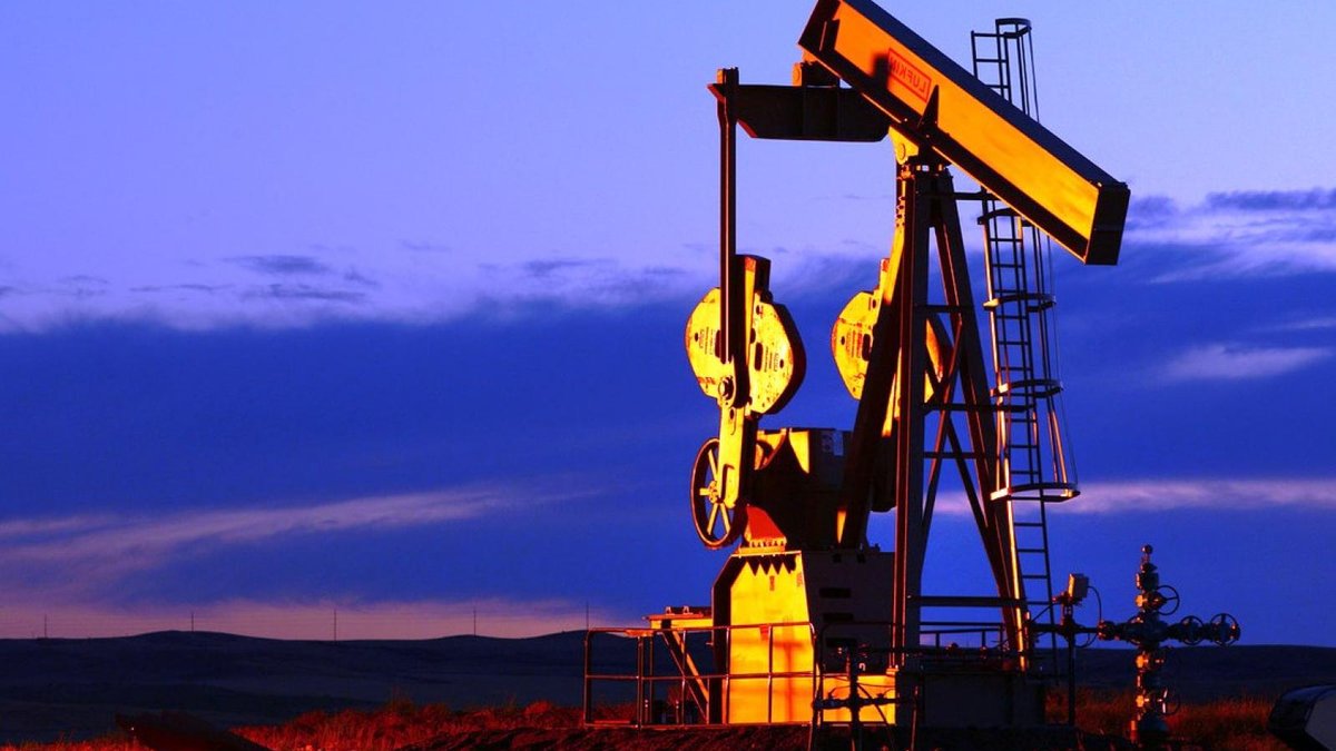  �������� ��������� ����������� ������ ���� �������� ����������� 