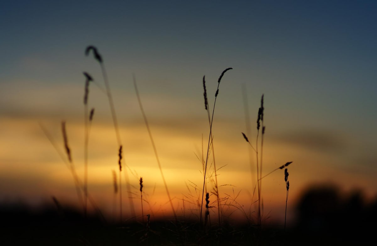  �������� 2022 ��������� ������� ������� ������� 