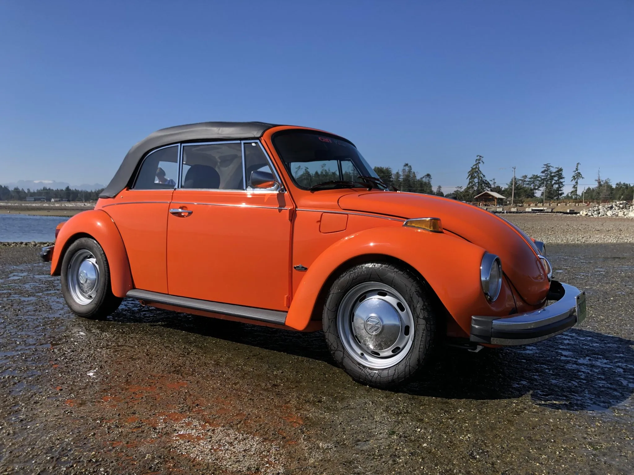  Volkswagen Beetle     ()