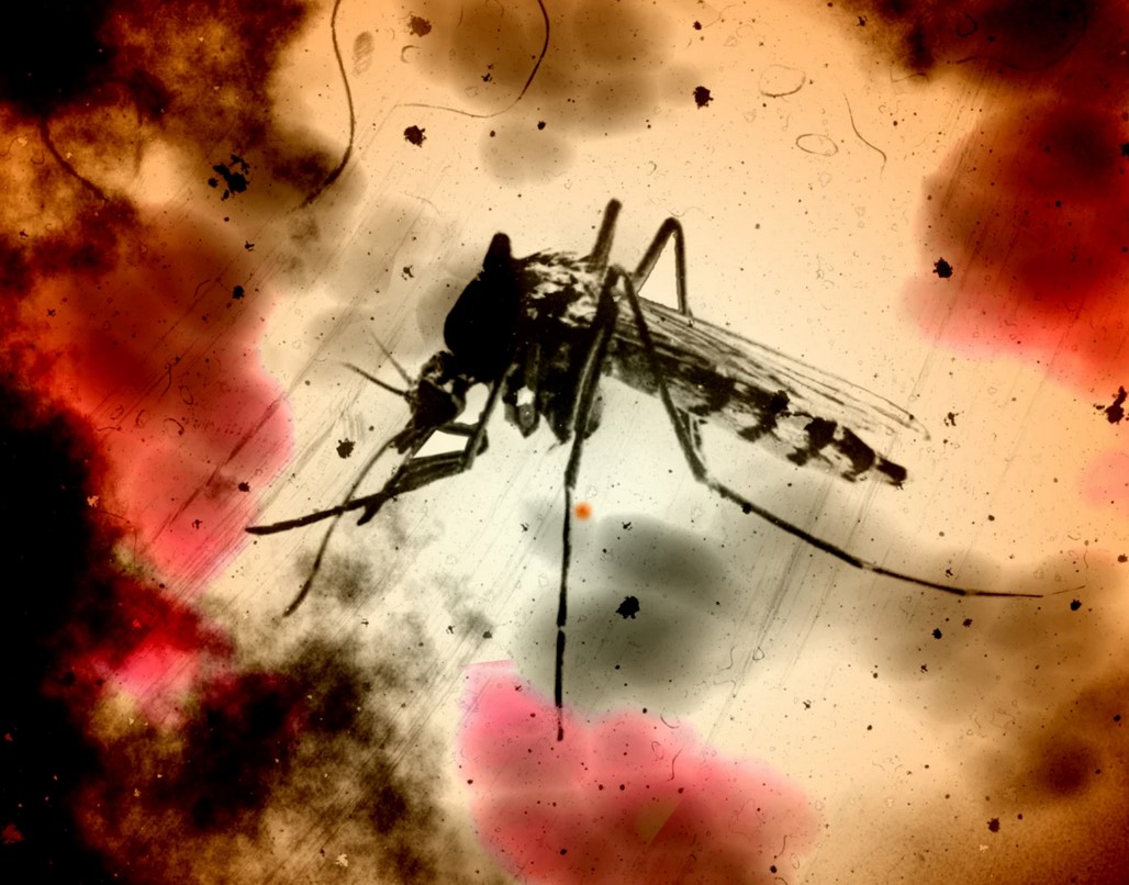 ����: focus.ua