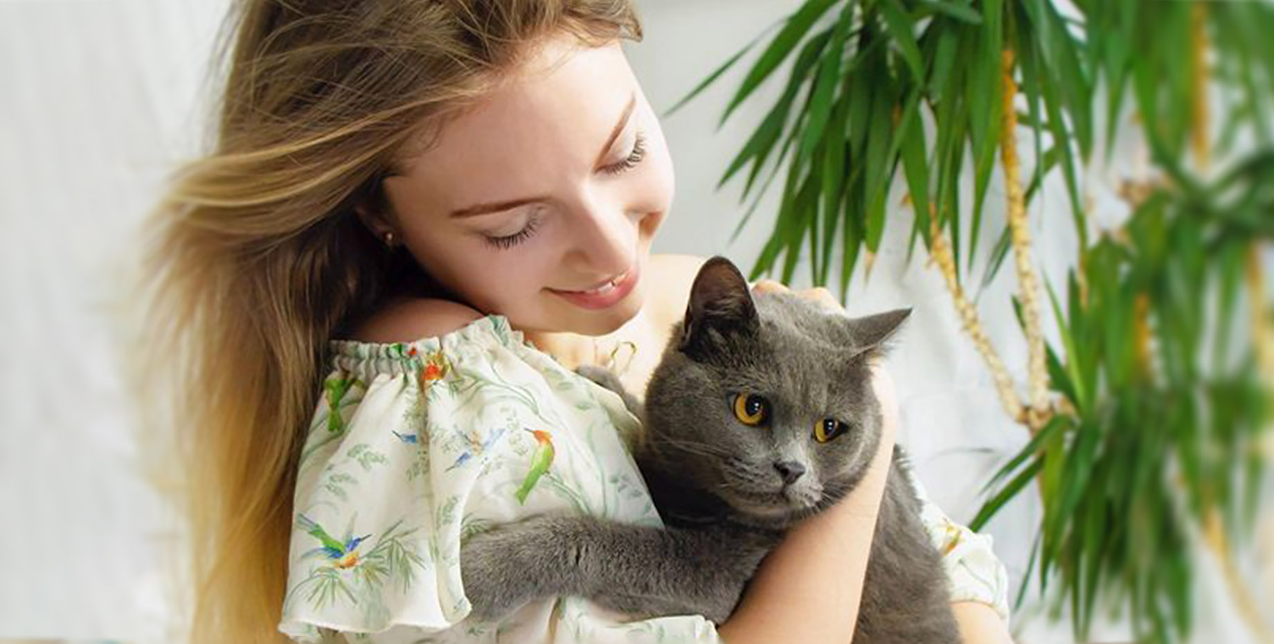 ����: focus.ua