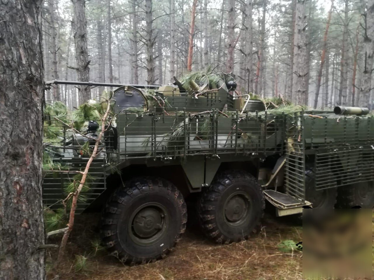  �������� ������ ���� ������ ���������� �������� ����������������� ���-82�� 