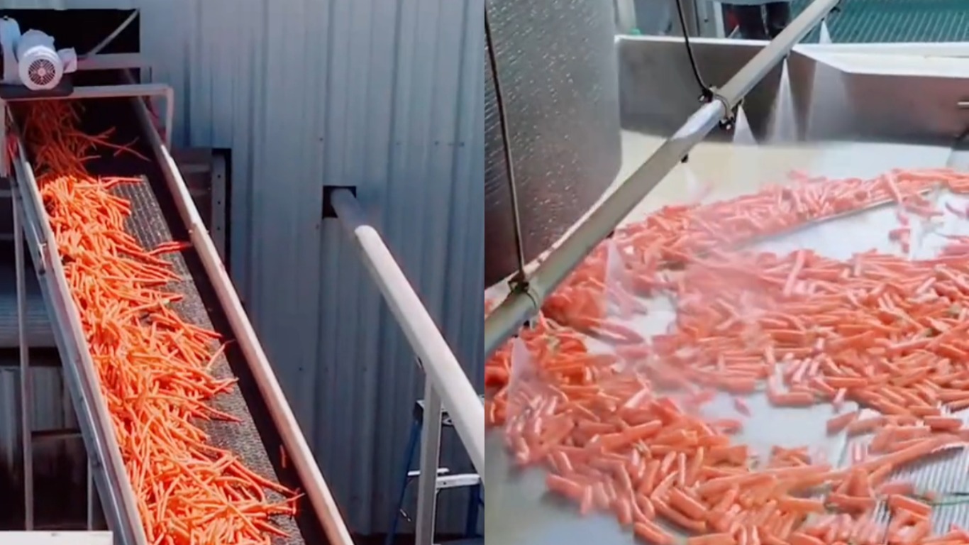  ����������� ����� ������ ���� ������� ����-������� ����� 