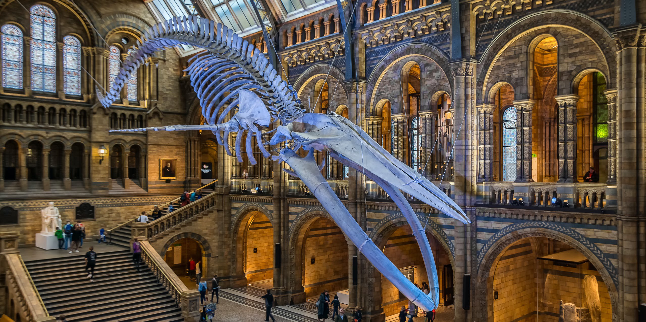  ������ ����� ��������� ���������� ����� ����� 