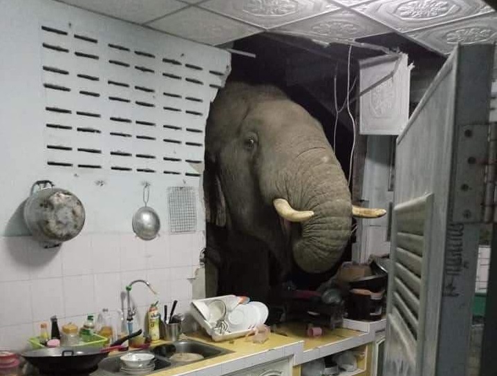  �������� �������� ���� �������� ����� ������� ��� ����� 