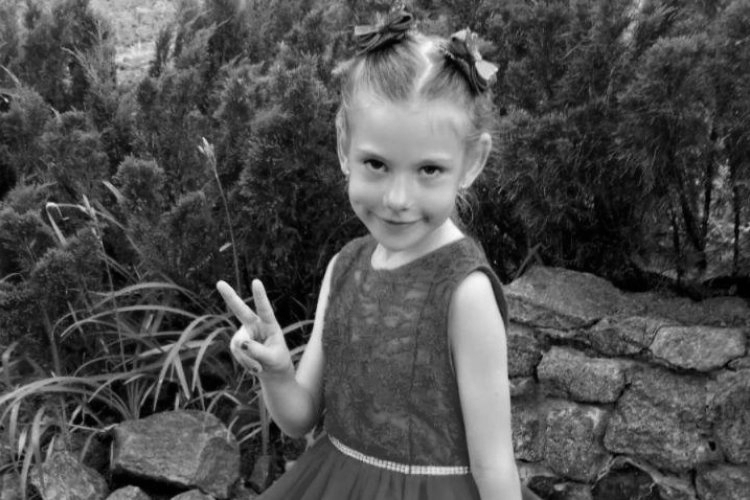  ��������� 13-������ ��������� ���� 6-������ ������� ���������� 