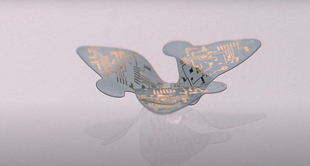  ������ ������� �������� ��������� ������� ������ ������� ����� 