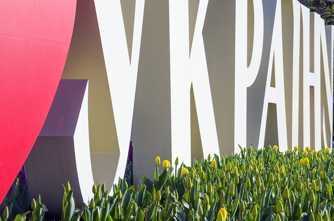  ������ ���������� ������ ���������� ������� �������������� ������� ������� 