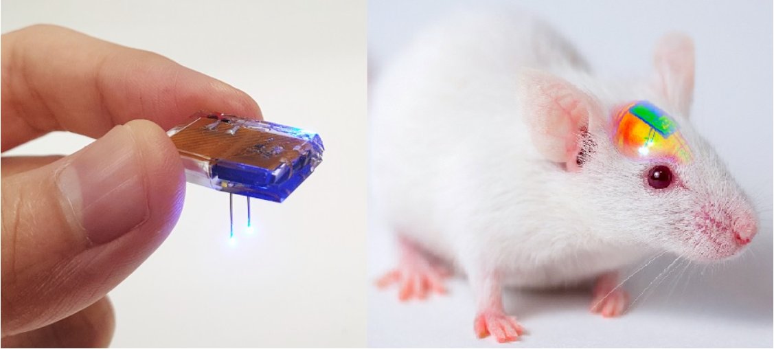  ������ ������������ ����� ������� �������� ��� ������������ �������� 