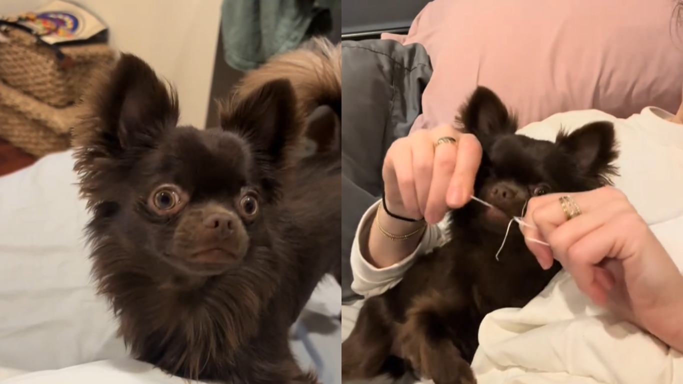  ����� ����������� ������� �������� ��������� �������� ������ ����� 