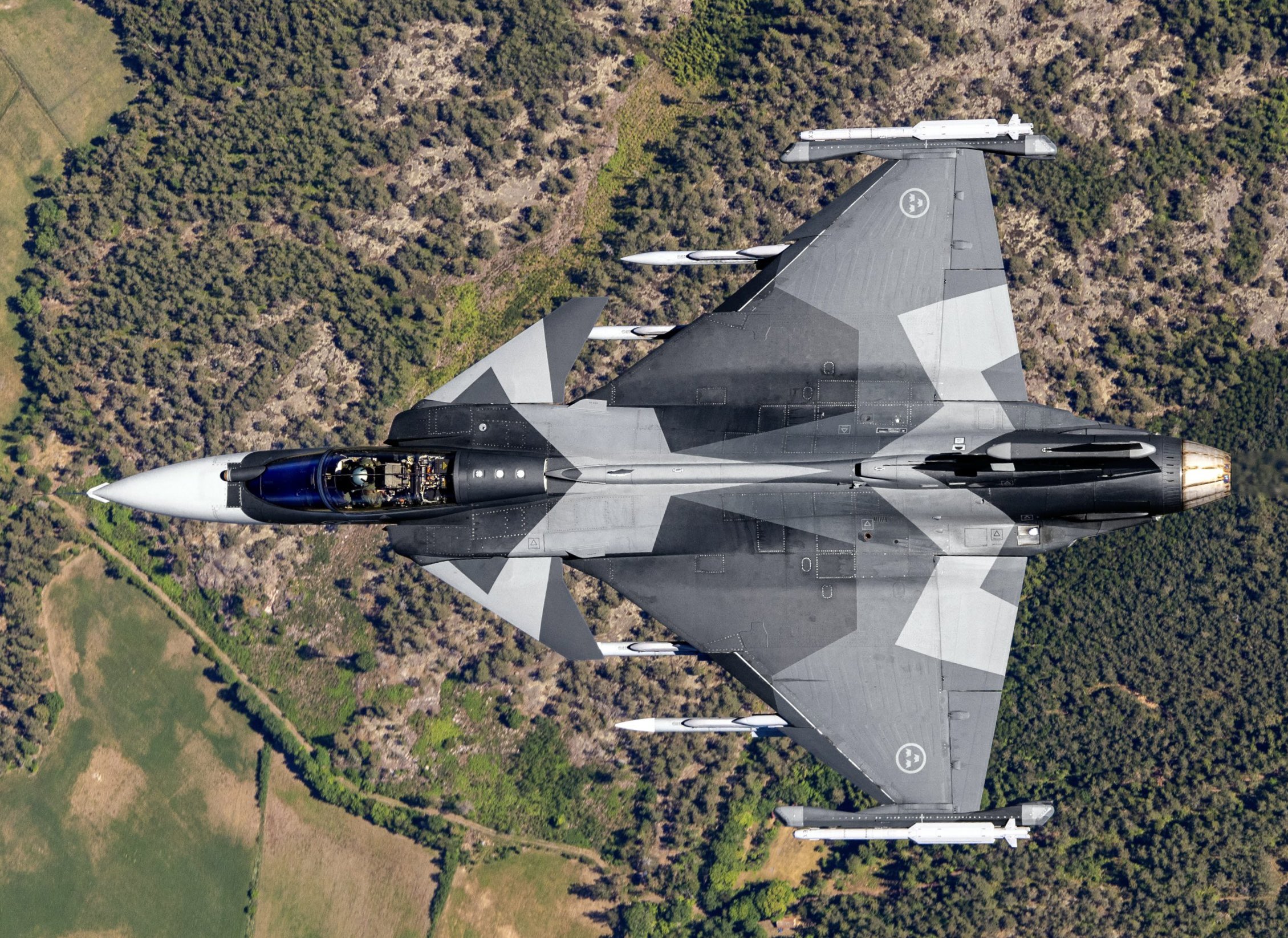 ������ �������� ����������������� ����������� gripen ���������� 
