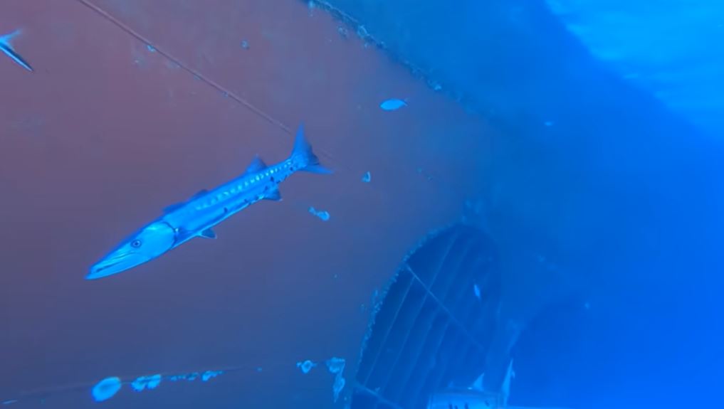  ������� ��������� ����� ������ �������� ����� ��� ������ 