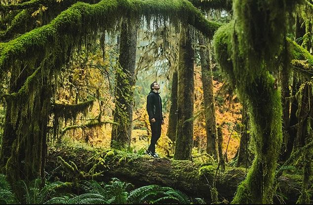  ������������ ������ ������ ����������� ������ ������ �������� ����������� 