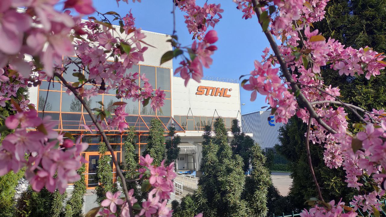  stihl ������� �������� ��������� 131 �������� ������ ������� 