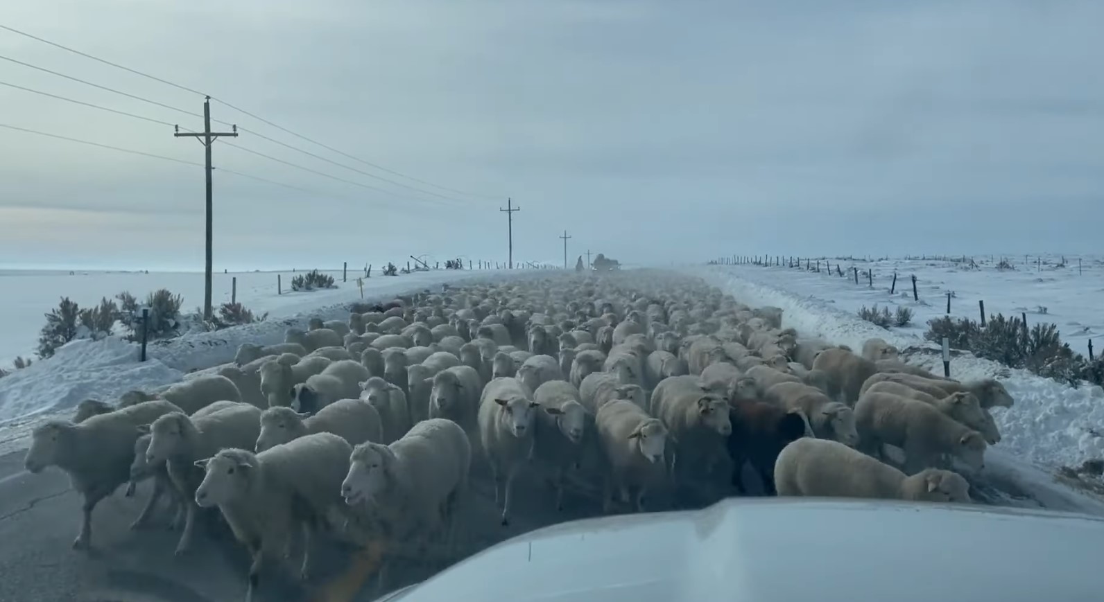 ����: focus.ua