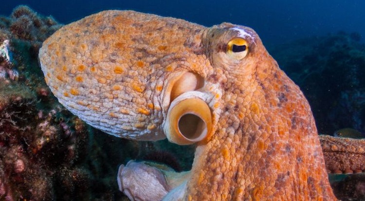  ����� ����� ��������� ������ ��������� ����� ���������� ������� 