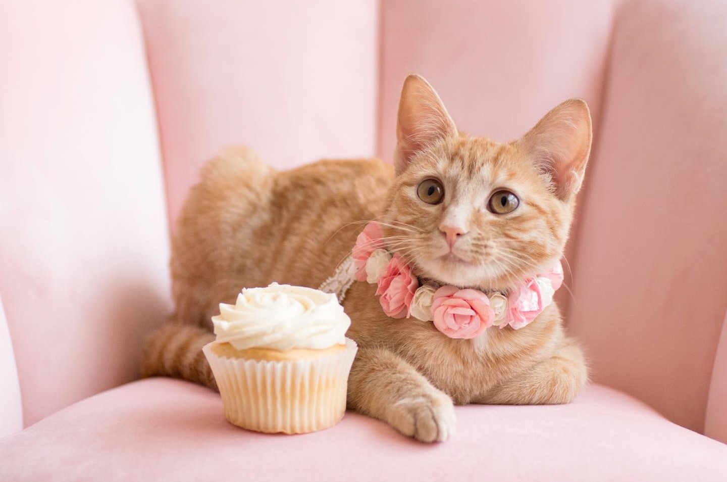  ����� ������ ������ ����� ������ ������ instagram 