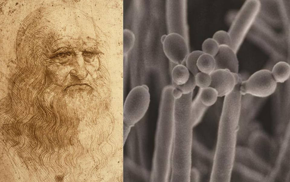  ������� ������������ ������ ���������� ��������� ������������ �������� ����� 