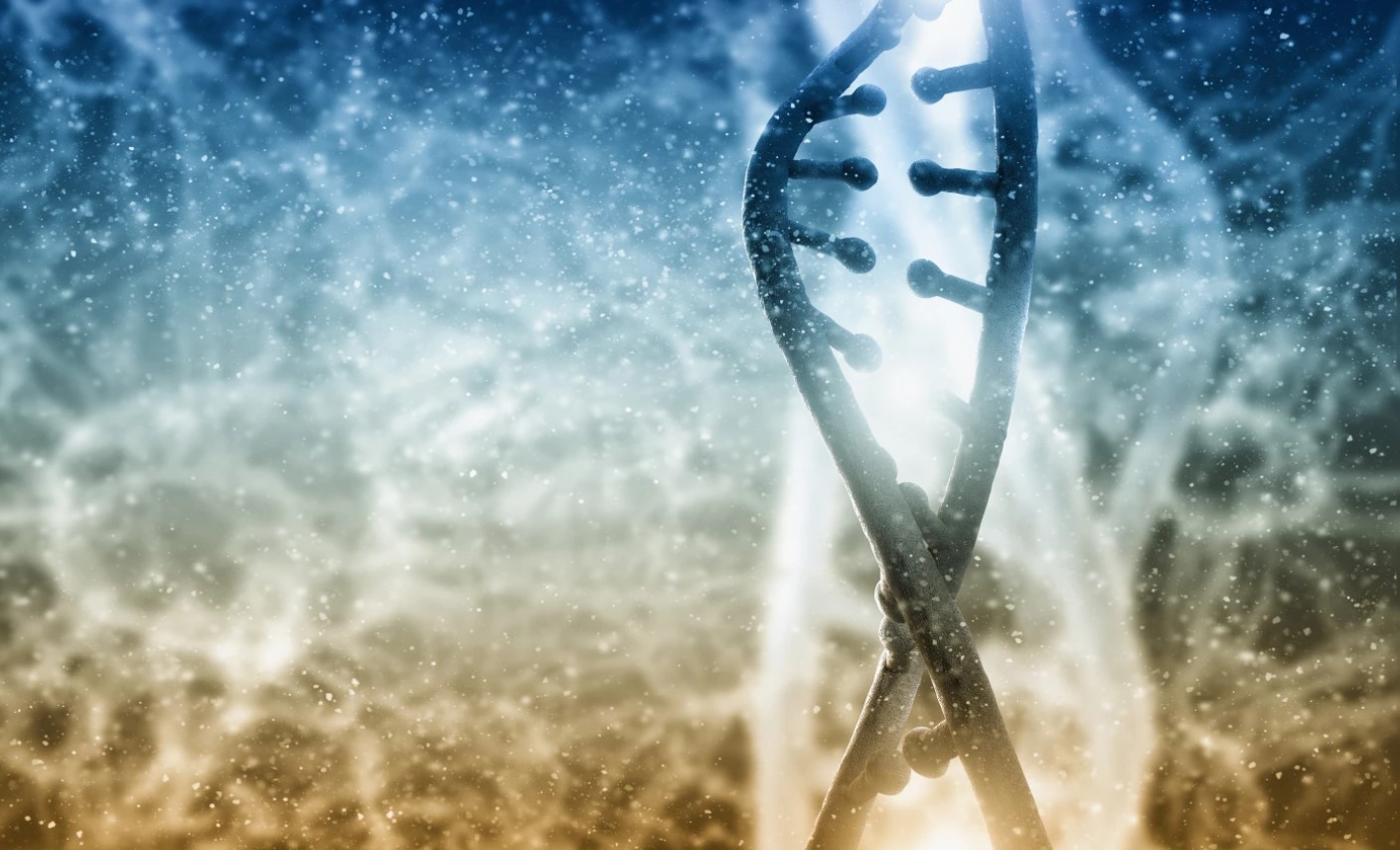  ���������� ����������� ���������� ������ ������� ����� ��� 