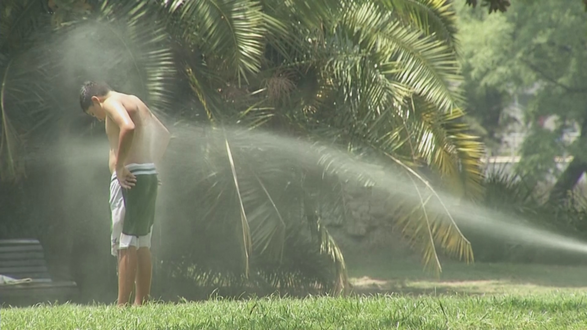  ������� ����� ��������� �������� ��������� ���� 