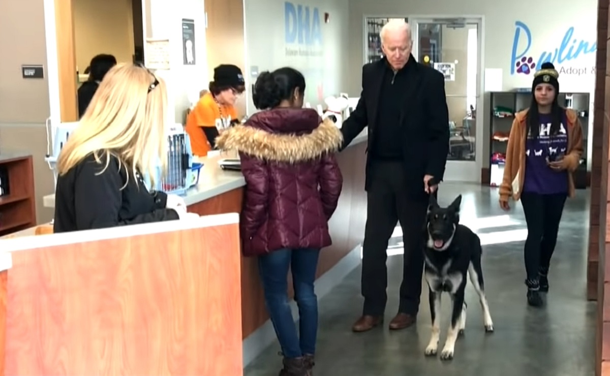  ������ ������� ������ ������� ������� ������ ���������� cnn 