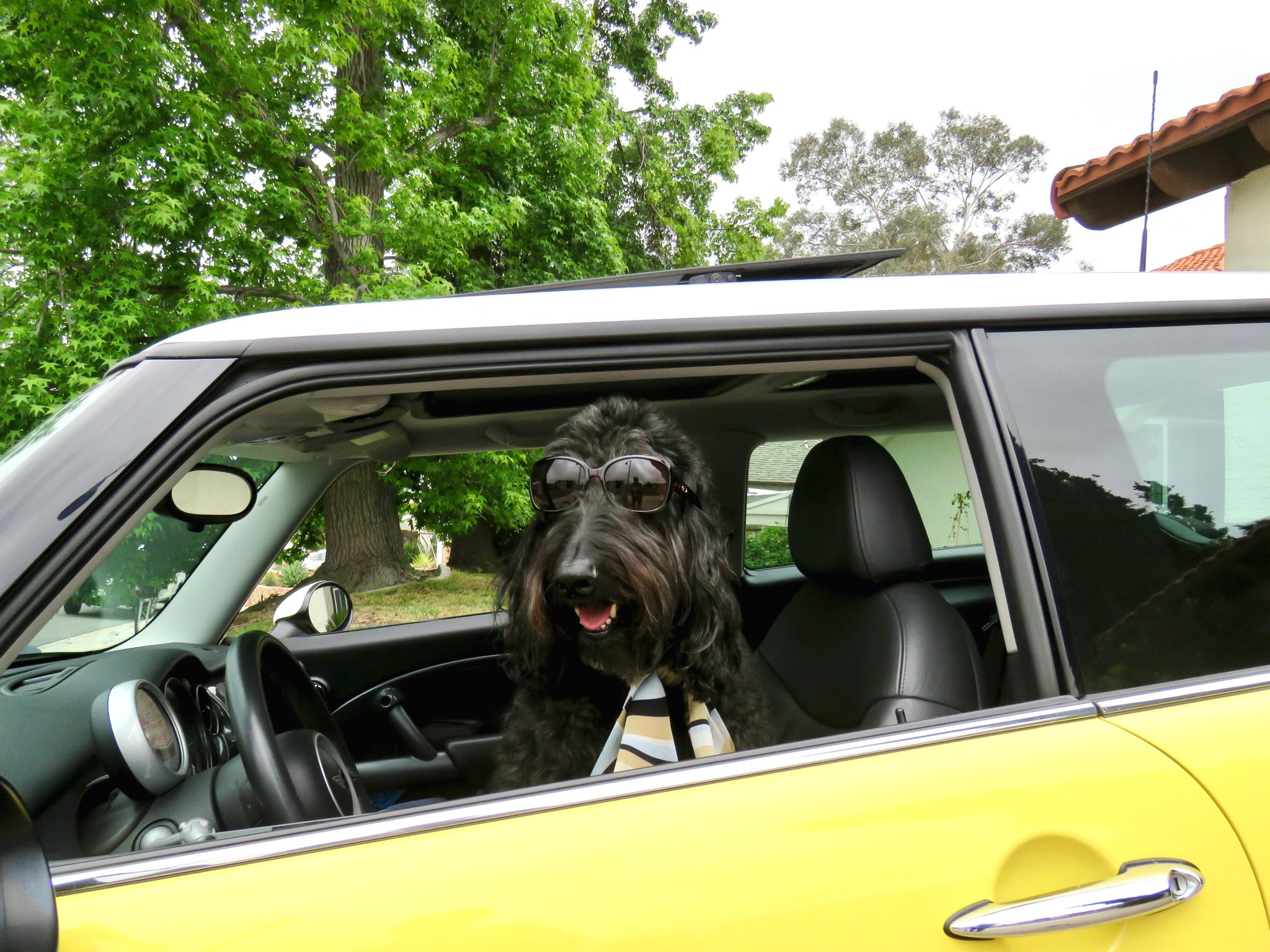  ������ ������ ������� �������� ������ ��� 