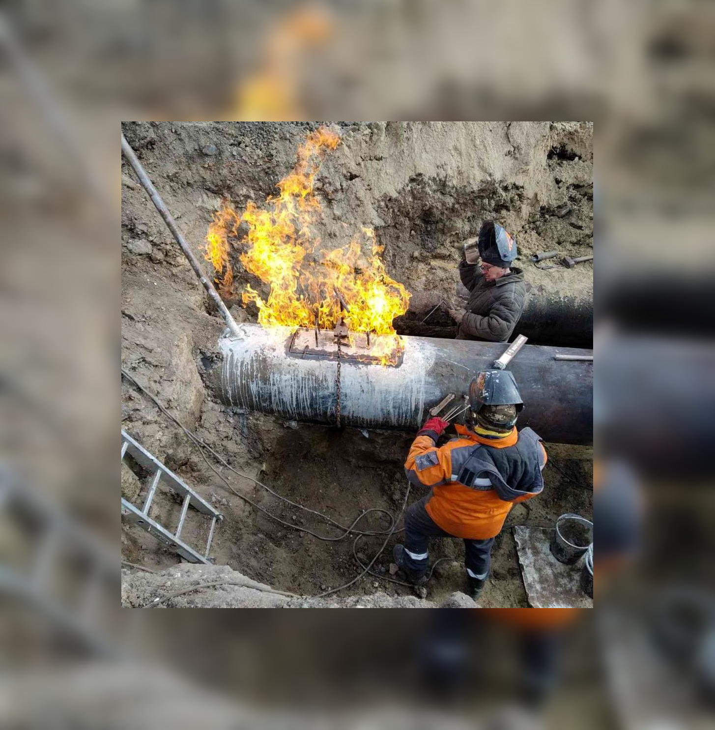  ����� ���������� ���������� �������� ���� �������� ��� ���� 