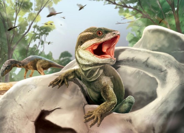 ����: focus.ua