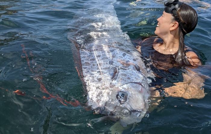  ������� ������� ����� ������ ��� ���� ������ ���� 