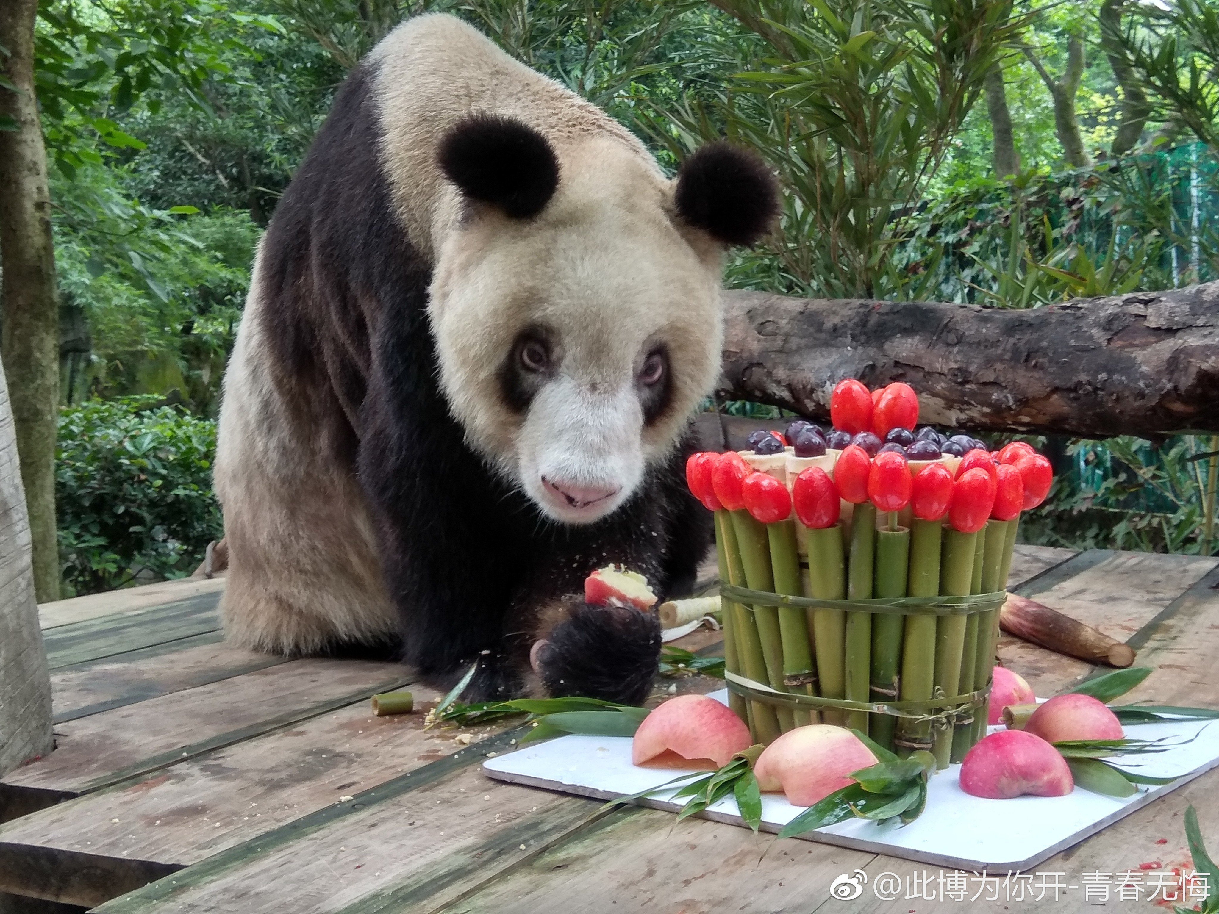  ����� ���������� ����� ������ ���� ����� 