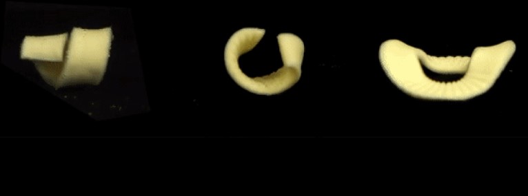  �������� �������� ������ ������� ����� ��������� ����� 