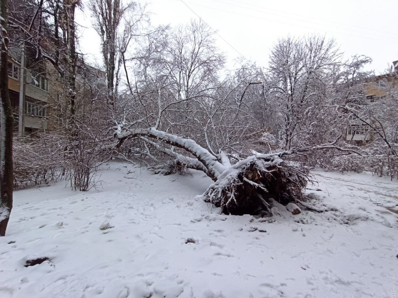  �������� ������ ����� ������� ����������� ���������������� ���� 