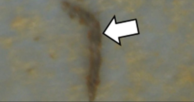  ������ ������� ��������� ����� ������� ������������ ��������� ������ 