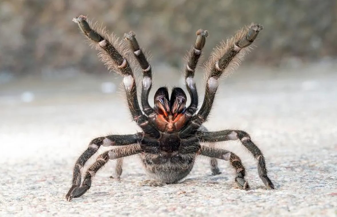  ���������� ����������� ������ ���������� ��� ��������� ��������� ������ 