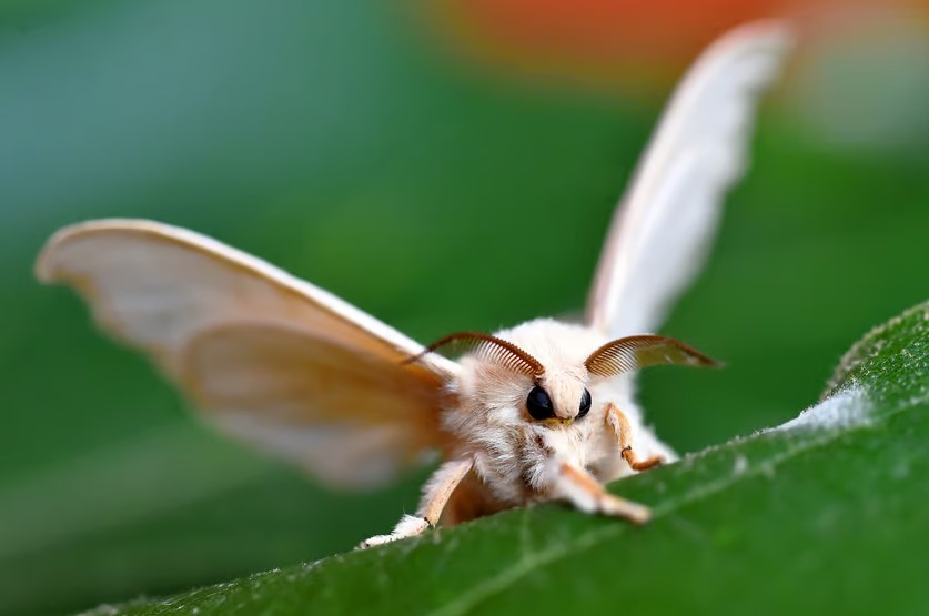  ��������� ������ ����� �������� �������� ���� ����������� ���������� 