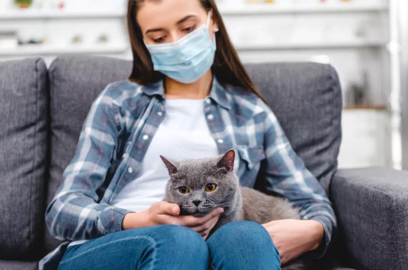  �������� ��������� �������� ������ 